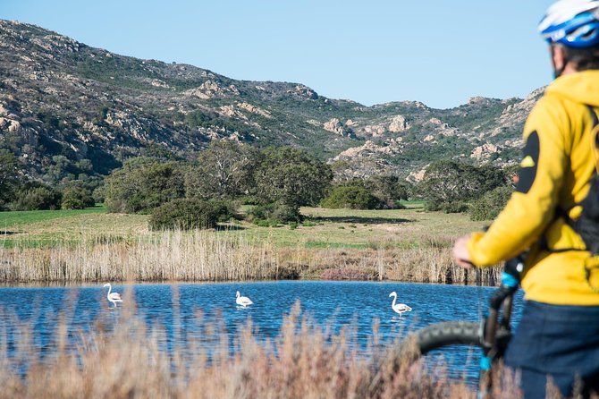 From the hills to Oasi Biderosa & Capo Comino with Electric Mountain Bikes - What the electric mountain bike changes