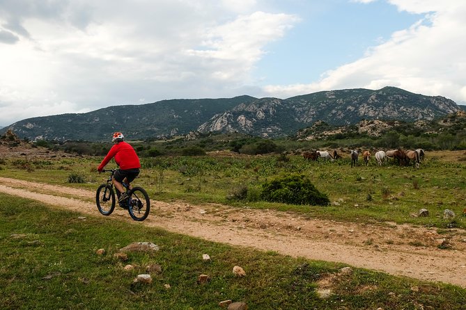 From the hills to Oasi Biderosa & Capo Comino with Electric Mountain Bikes - Group size, timing, and what the price covers