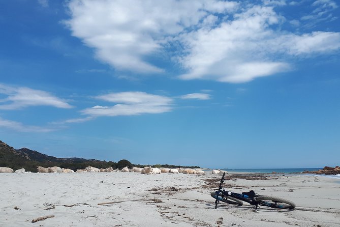 From the hills to Oasi Biderosa & Capo Comino with Electric Mountain Bikes - Berchida Beach and the pink-flamingo lagoons
