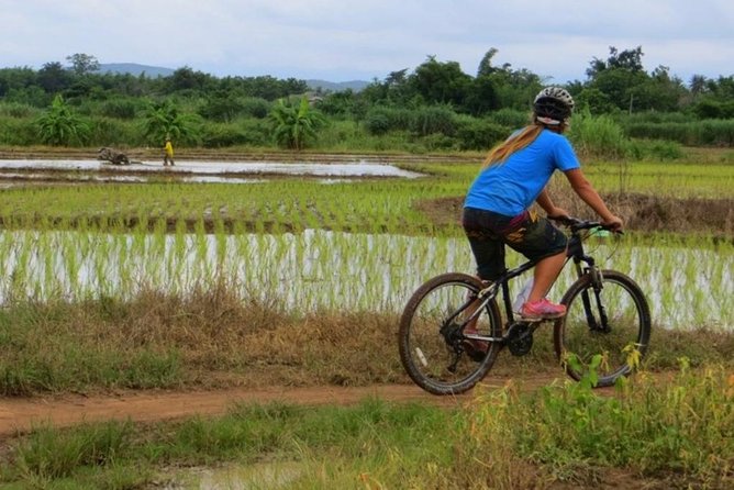 Full-Day Cycle and Kayak trip in Sri Lanna National Park - From Chiang Mai to the Mae Ngat Valley