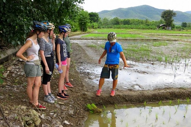 Full-Day Cycle and Kayak trip in Sri Lanna National Park - Lunch in a Tropical Garden