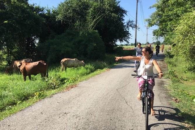 Full Day Cycling tour to Sukhothai Historical Park - Miaow, Jib, Chip, and the guiding style
