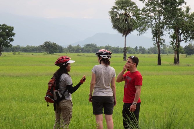 Full Day Cycling tour to Sukhothai Historical Park - Lunch, snacks, and staying comfortable