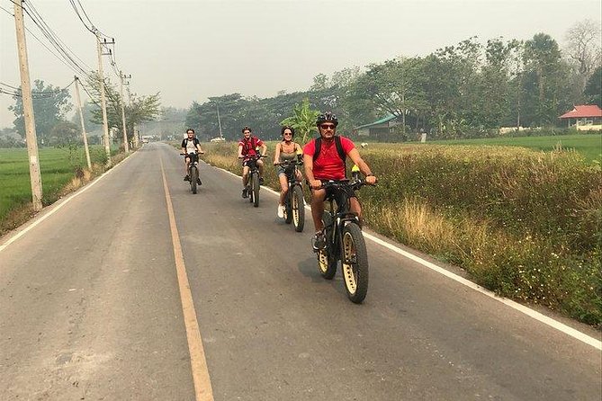 Full-day E-bike Countryside and Nam Phrae (flat-hilly, GUIDED) - Lunch, water, and what you need to bring