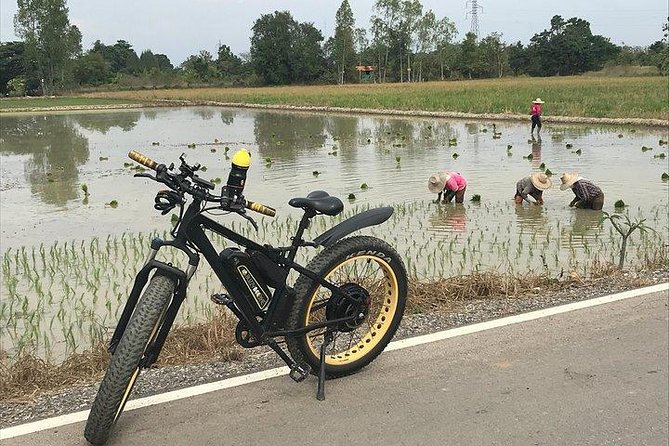 Full-day E-bike Countryside and Nam Phrae (flat-hilly, GUIDED) - Rice fields, orchards, and the road to the Ping River