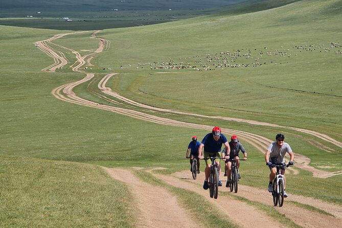 Full Day Mountain Biking Tour in Khan Khenty National Park - The Chinggis Khan Statue Complex