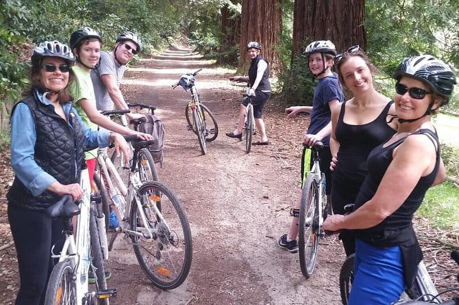 Full-Day Tuscan Countryside Bike Tour - Should You Book It?