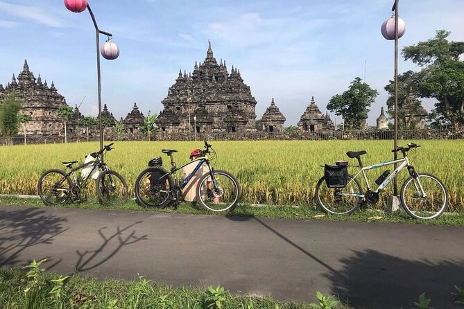 FUN Cycling Tour De Temples - Should You Book the De Temples Cycling Tour?