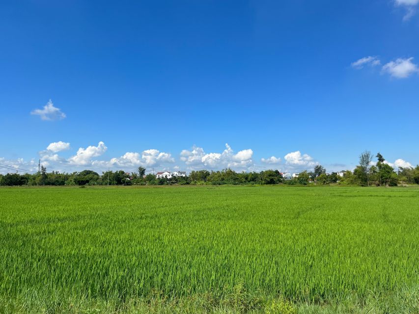 Funny day cycling, Buffalo riding and Basket boat - Why this Hoi An countryside tour works so well