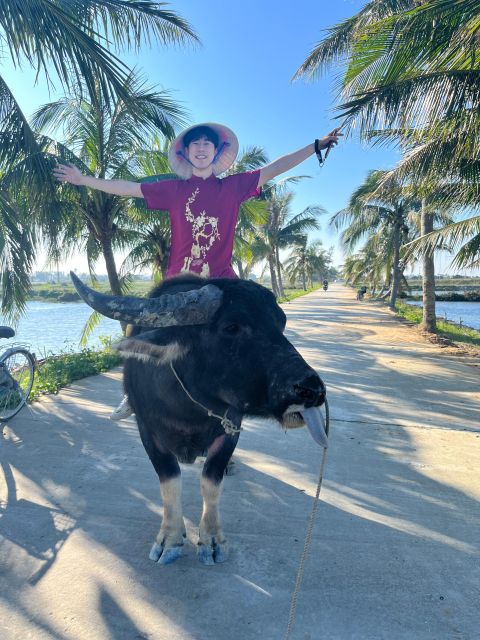 Funny day cycling, Buffalo riding and Basket boat - Starting at Hoi An Post Office