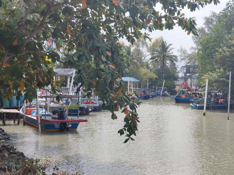 George Town: Balik Pulau Countryside Morning Cycling Tour - Who should book this Balik Pulau ride?