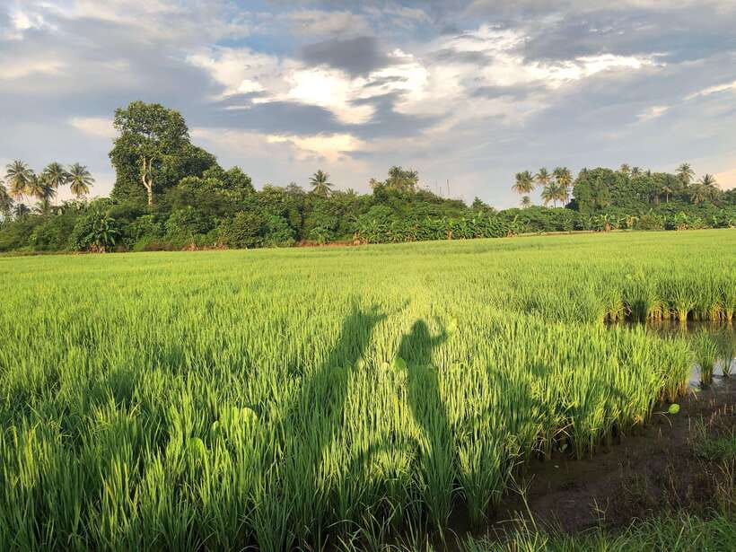 George Town: Balik Pulau Countryside Morning Cycling Tour - Why Balik Pulau is worth the early start