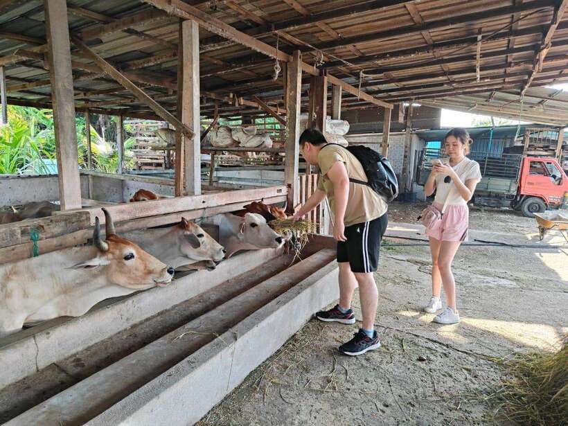George Town: Balik Pulau Countryside Morning Cycling Tour - Farm stops, local produce, and a 40-foot photo stop