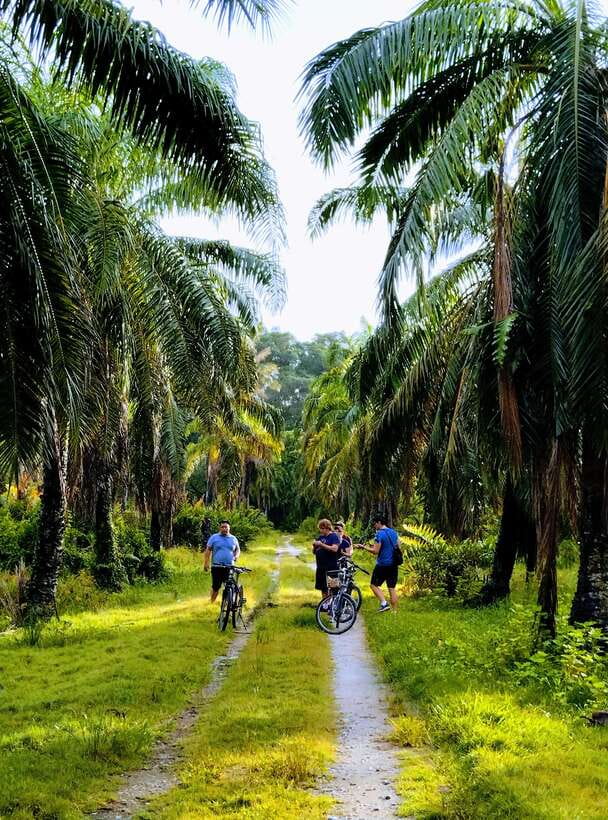 George Town, Penang: Malay Countryside Cycling - Key points to know before you ride