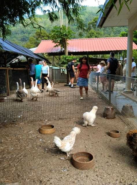 George Town, Penang: Malay Countryside Cycling - Orchards, plantations, canals, and local wildlife
