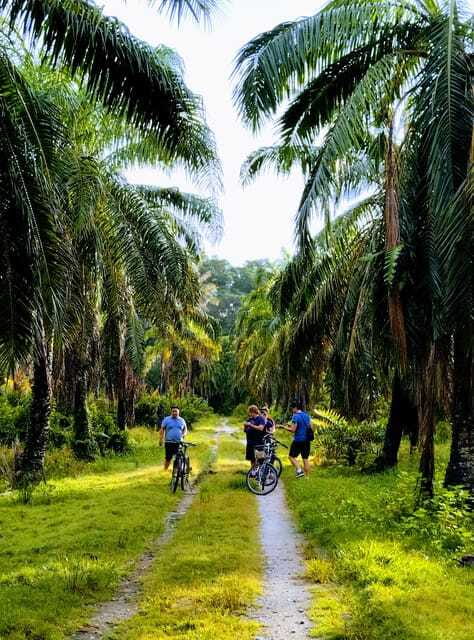 George Town, Penang: Malay Countryside Cycling - Bikes, pace, weather, and comfort