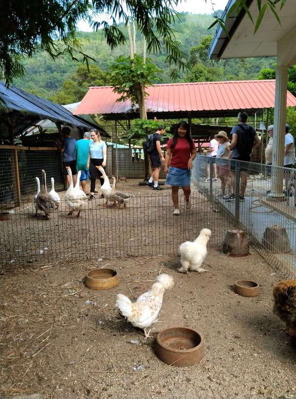 George Town, Penang: Malay Countryside Cycling - Getting started at 6b Lebuh Pantai