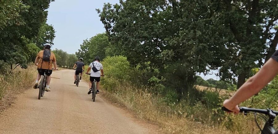 Gioia del Colle: E-Bike Ride & Hands-On Mozzarella Lab - How the price compares with the experience