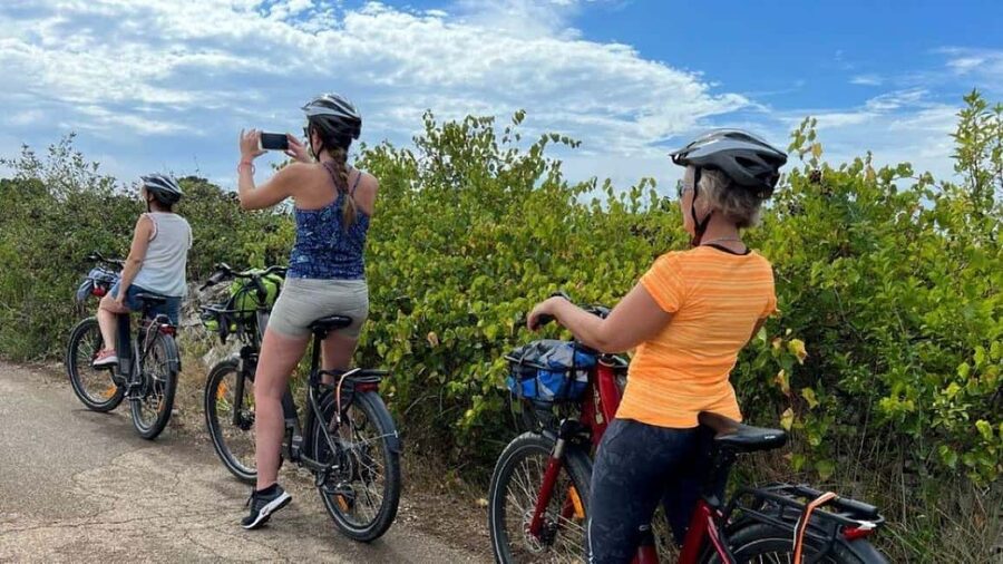 Gioia del Colle: Primitivo Wine & E-Bike Ride - What the Murgia Hills Look Like by Bike