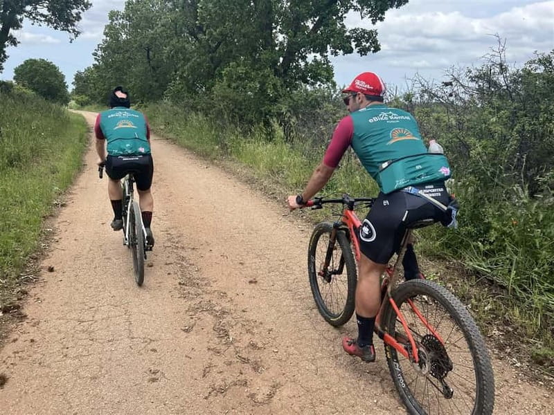 Gioia del Colle: Primitivo Wine & E-Bike Ride - A Small Group With a Relaxed Pace