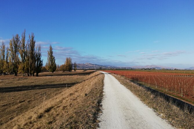 Great Escape Self-Guided Scenic Cycle Winery Tour from Napier - Why this 28km ride works so well in Hawke’s Bay