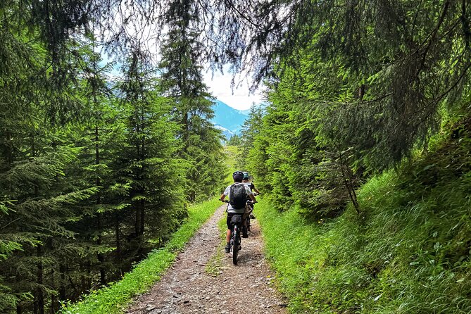 Griesalp UNESCO Alpine E-Bike Adventure from Interlaken - What the $455.89 price really covers