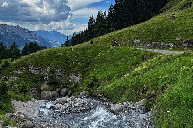 Griesalp UNESCO Alpine E-Bike Adventure from Interlaken - Who should book this ride