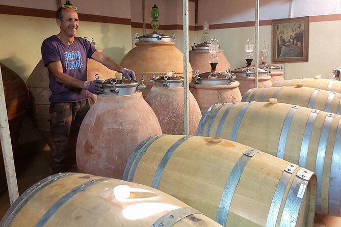 Guided Cycle Tourism Wine Tour by E-Bike on the Island of Elba "Arrighi" - Rio nell’Elba and the old public wash house