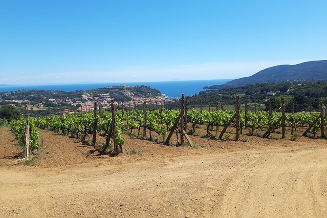 Guided Cycle Tourism Wine Tour by E-Bike on the Island of Elba "Arrighi" - The Carmignani walk above Porto Azzurro