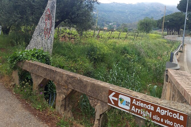 Guided Cycle Tourism Wine Tour by E-Bike on the Island of Elba "Arrighi" - Forte Longone and views over the bay