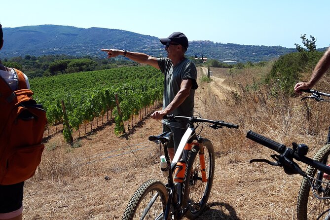 Guided Cycle Tourism Wine Tour by E-Bike on the Island of Elba "Arrighi" - What the $98.40 price delivers
