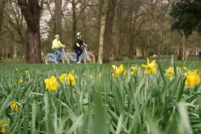 Guided Cycle Tours of Cardiff - The ride toward Cardiff Bay Wetland Reserve