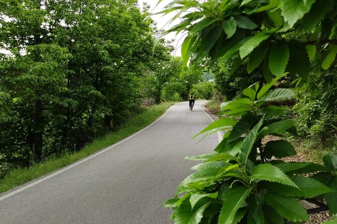 Guided Cycling - Blue Village Ronda - Moderate Level Difficulty - Farajan and Alpandeire add variety