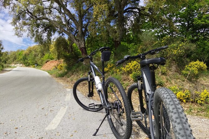 Guided Cycling - Blue Village Ronda - Moderate Level Difficulty - How much value do you get for $162.06?