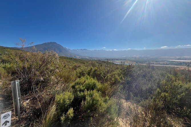 Guided E-Bike Rides in the Boland District of the Western Cape SA - Who will enjoy this ride most
