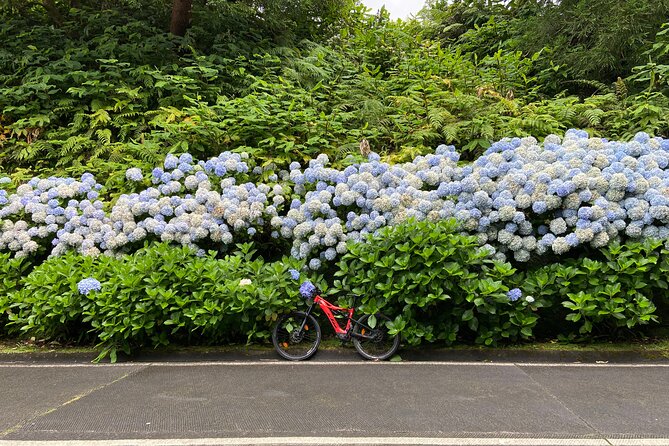 Guided Electric Mountain Bike in Sete Cidades - Key points to know before you book