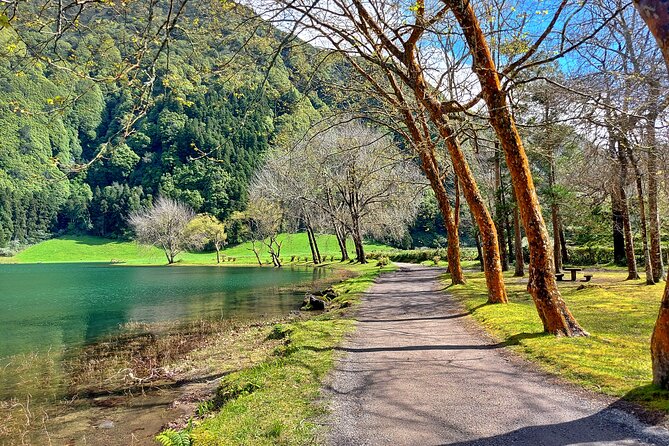 Guided Electric Mountain Bike in Sete Cidades - Vista do Rei and Monte Palace