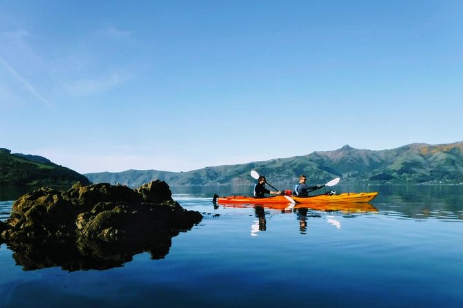 Guided Electric Mountain Bike & Sea Kayak Tour in Akaroa - The guides and the value of local knowledge