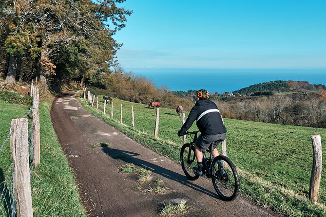 Guided Electric Mountain Bike Tour in Gipuzkoa - From San Sebastian streets to Igeldo Mountain