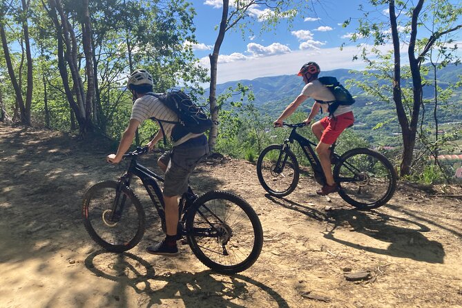 Guided Electric Mountain Bike Tour in Gipuzkoa - What the $117.11 price gets you
