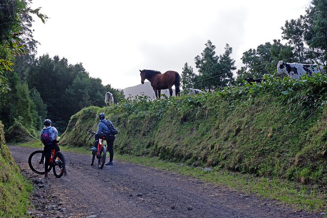 Guided Electric Mountain bike Tour Ribeira Grande - Key points to know before you book