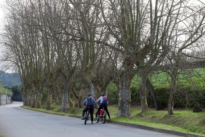 Guided Electric Mountain bike Tour Ribeira Grande - Why an e-bike is a smart way to see Ribeira Grande