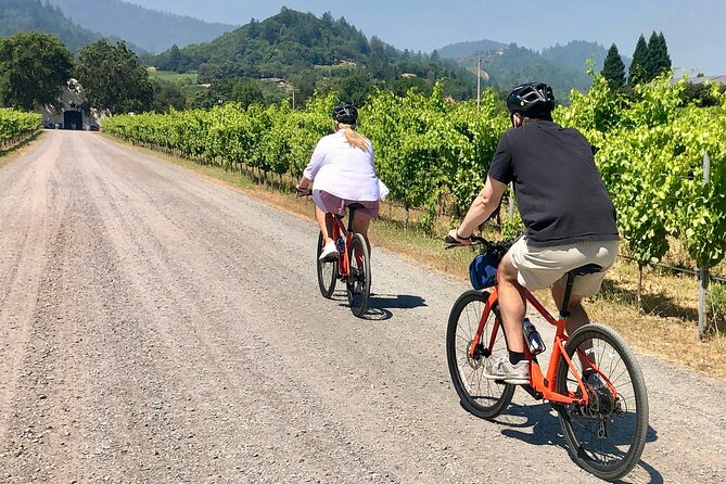 Guided Healdsburg Wine Country Bike and Wine Tasting Tour with lunch - Why Dry Creek Valley works so well by bike