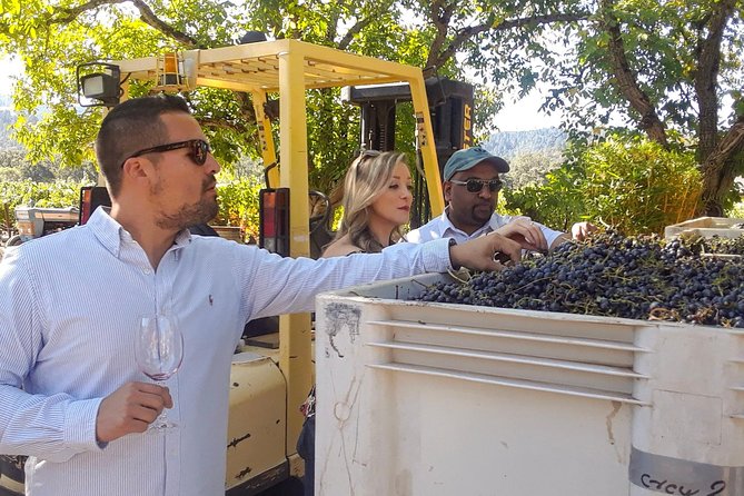 Guided Healdsburg Wine Country Bike and Wine Tasting Tour with lunch - Grapes 101 and the third stop at 2:00 pm