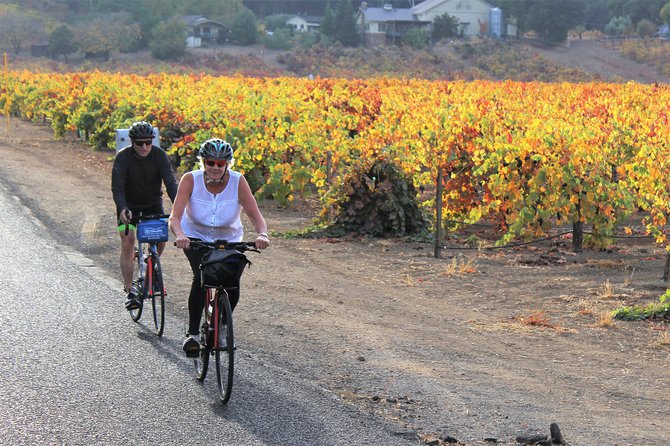 Guided Healdsburg Wine Country Bike and Wine Tasting Tour with lunch - The return to Healdsburg around 3:30 pm