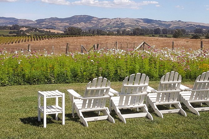 Guided Healdsburg Wine Country Bike and Wine Tasting Tour with lunch - What the $209 price includes