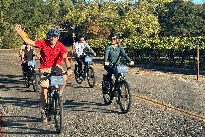Guided Healdsburg Wine Country Bike and Wine Tasting Tour with lunch - Picnic lunch near noon