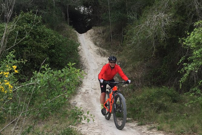 Guided mountain bike route - "Pata Negra" Tour - Key points at a glance