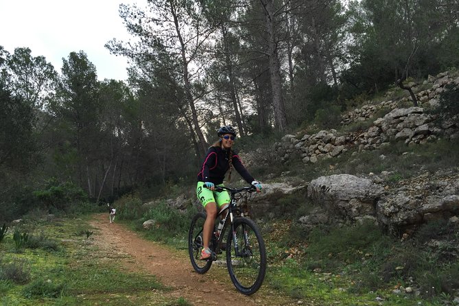 Guided mountain bike route - "Pata Negra" Tour - Forest tracks, village roads, and a manageable climb