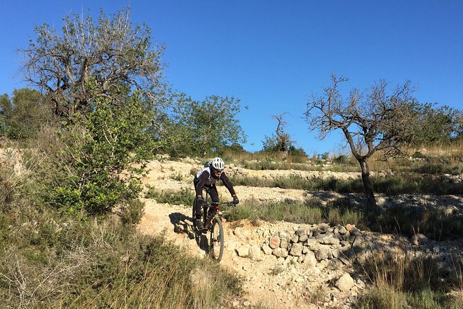 Guided mountain bike route - "Pata Negra" Tour - Following Montgó and watching the views change